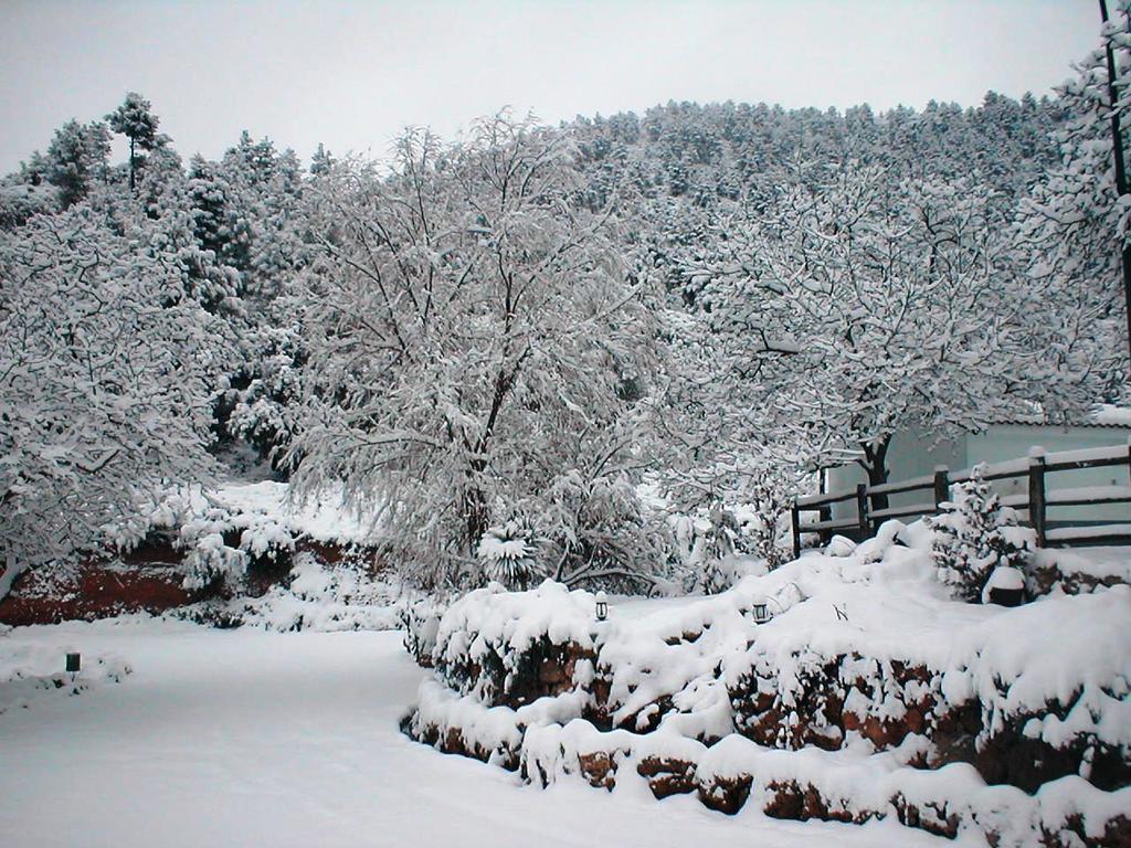 Casa Rural Los Nogales Holiday home Bogarra