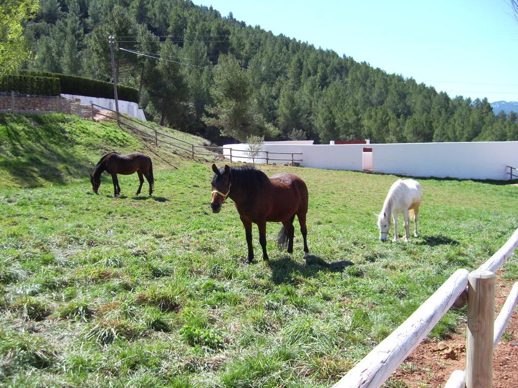 Casa Rural Los Nogales * Bogarra